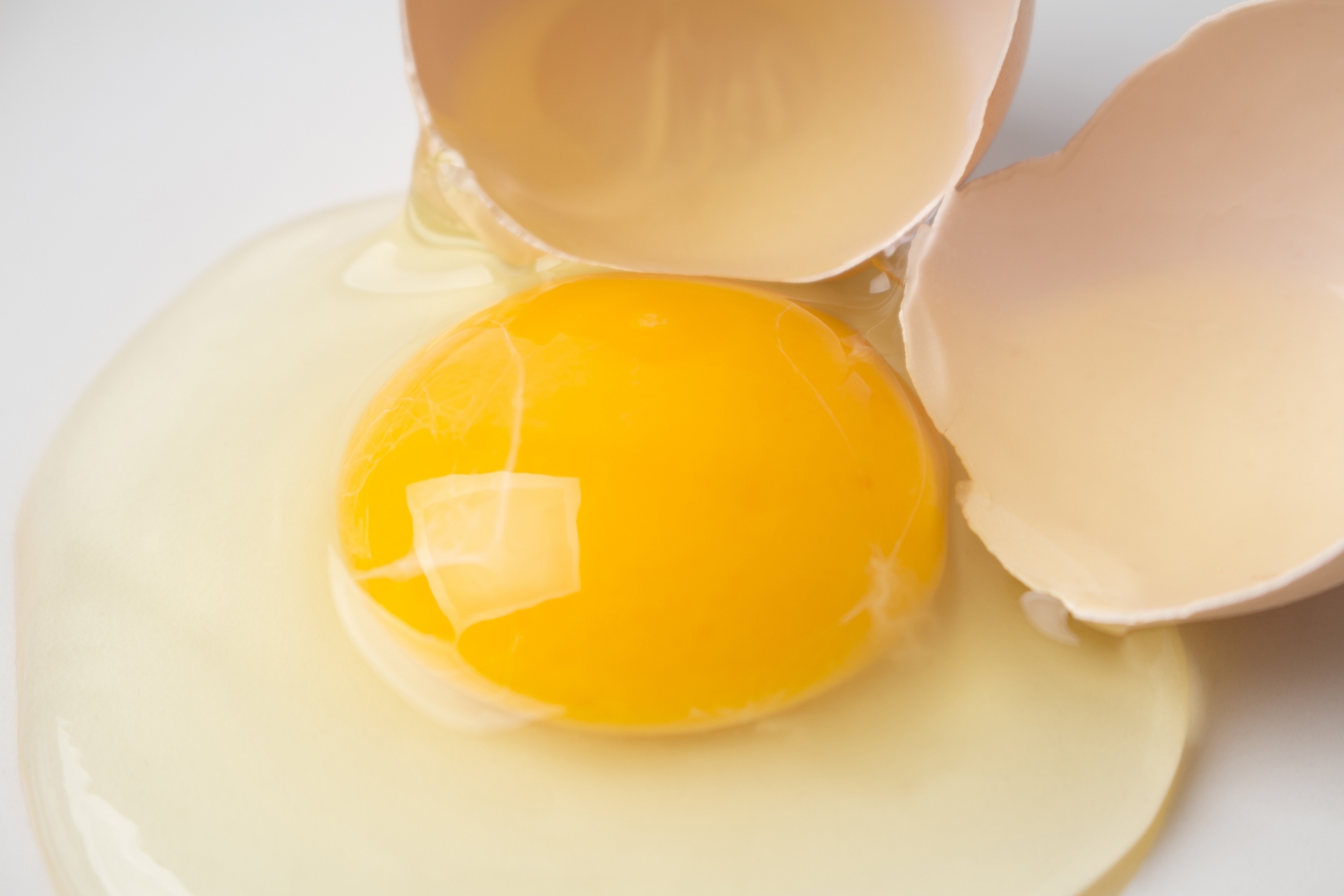 卵のカラザの簡単な取り方、カラザの役割や栄養について